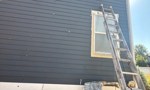 Painting in Progress