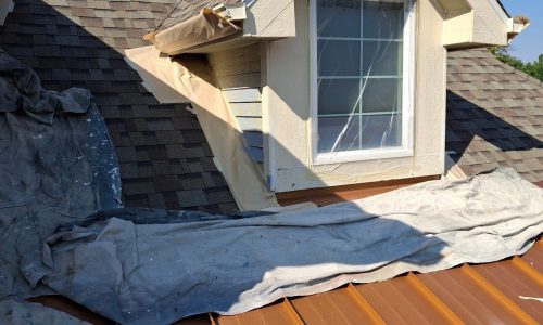 Painting in Progress