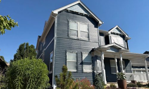 Painting in Progress