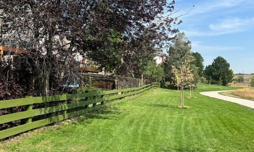 Revived Community Fence