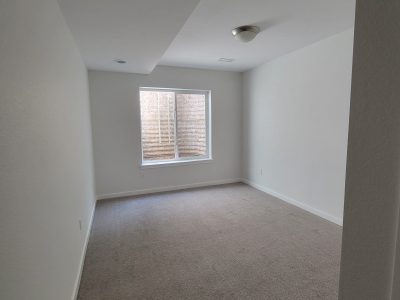 Home Interior Painting