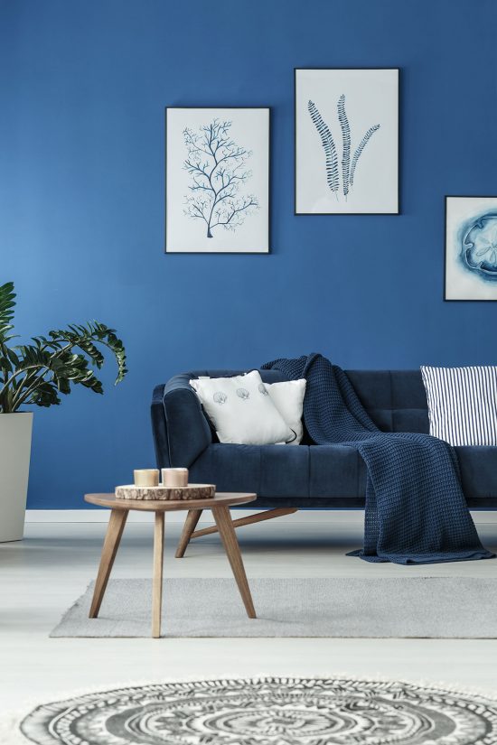 bright blue interior home colors by certapro