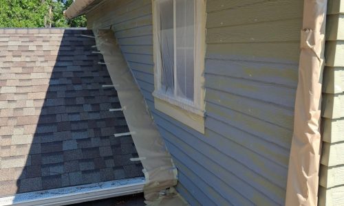 Painting in Progress