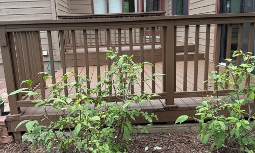 Coordinated Appearance