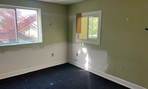 Painting in Progress