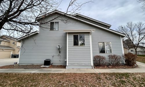 Professional Painting Service