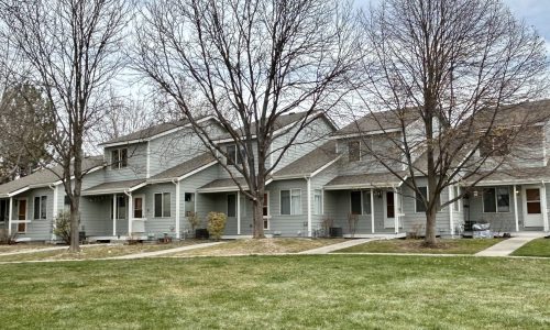 New Look for Community