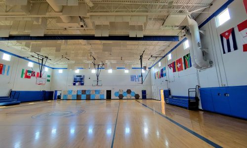 Professional Painters