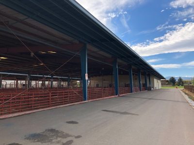 Commercial Painting by CertaPro Painters in Boulder, CO