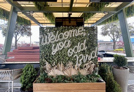 greenery wall on hotel patio