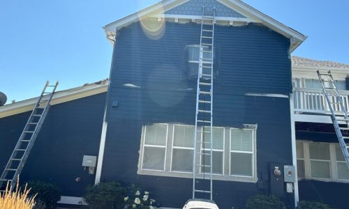 Painting in Progress