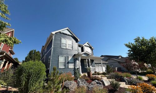 Painting in Progress