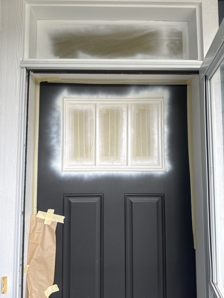 door with window covers and primer Preview Image 7