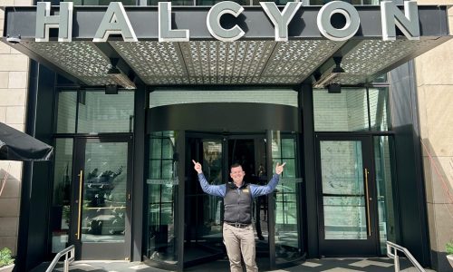 A Completed Project for The Halycyon