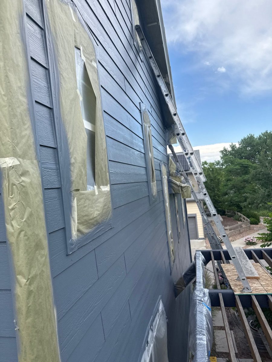ladder against house during siding repaint Preview Image 3