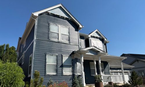 Painting in Progress