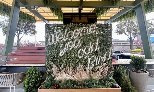 Rooftop Bar Area with Restored Finishes
