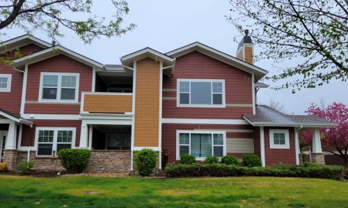 Painting in Progress