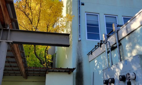 Exterior of Building