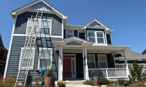 Painting in Progress