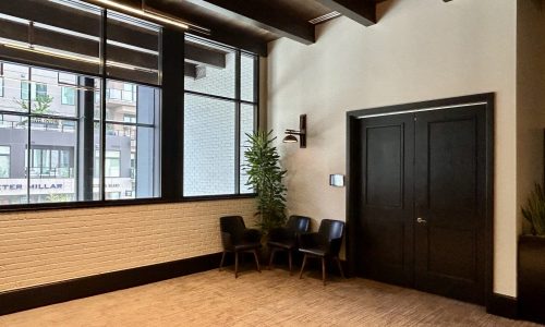 Freshly Painted Walls