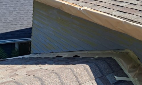 Painting in Progress