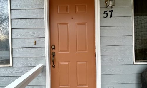 Vibrant Door Color