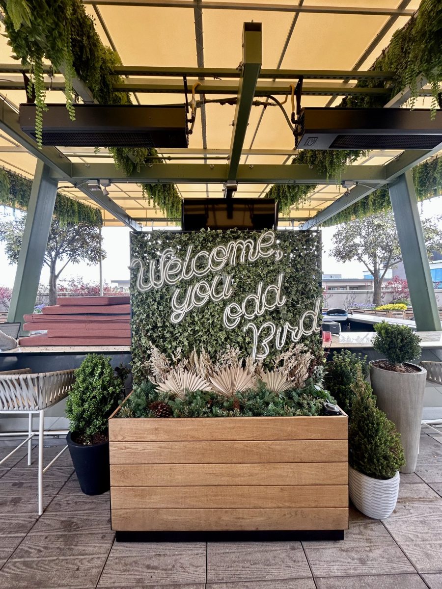 greenery wall on hotel patio Preview Image 2