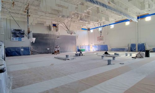 Painting in Progress