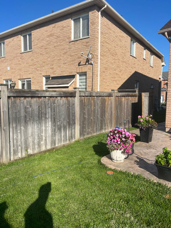 fence painting brampton on before