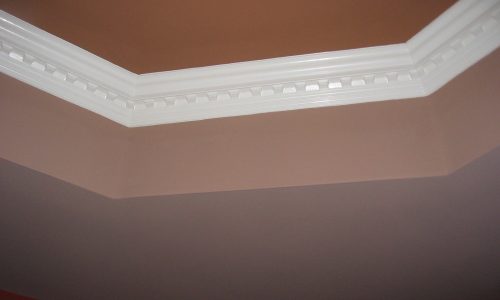 Egg and Dart Crown Molding