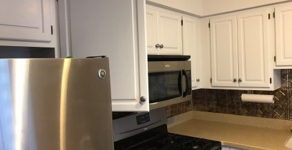 Cabinet Update in Spring Lake