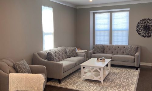 Living Room Painting