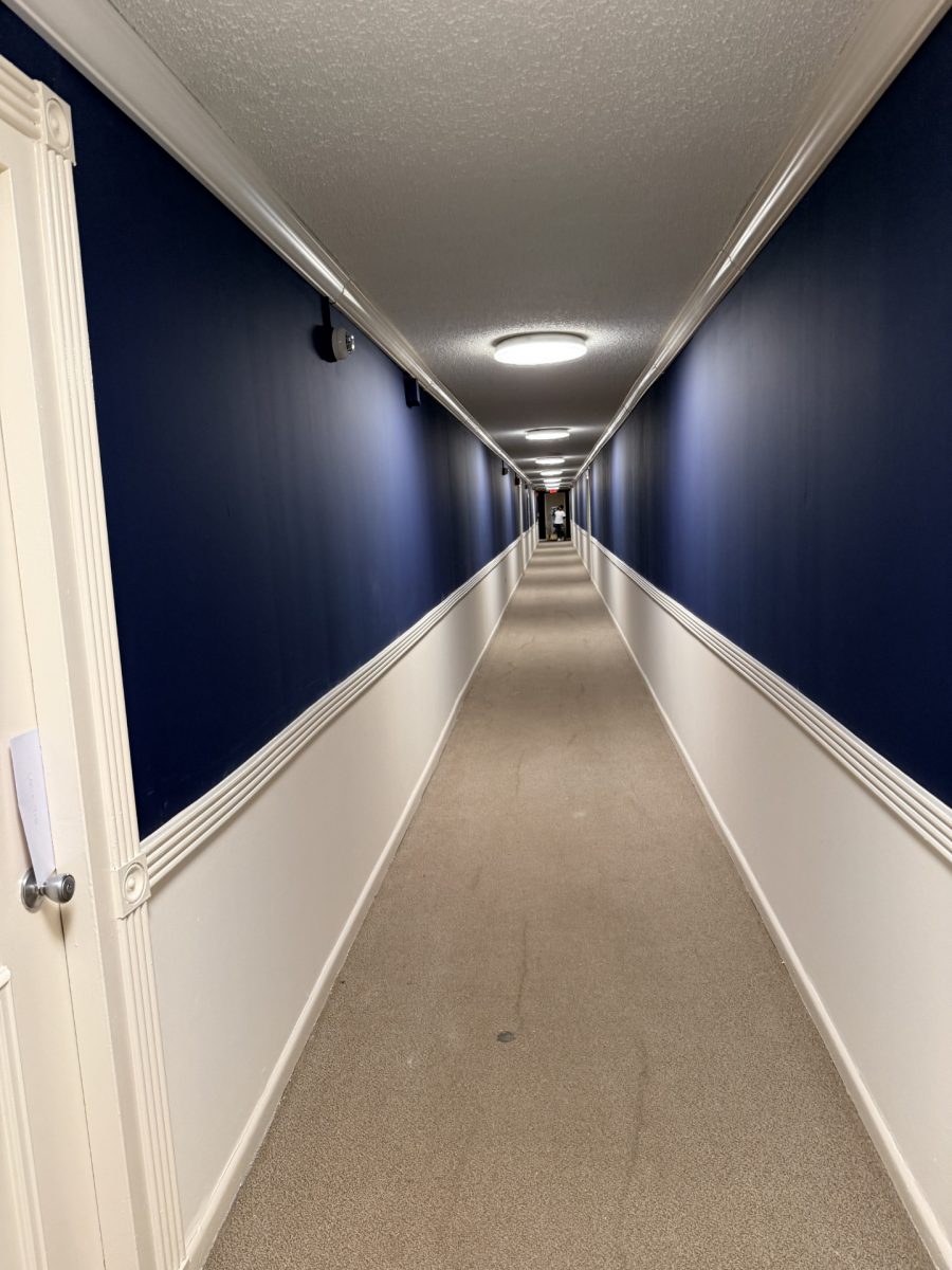 repainted hallway and wainscoting trim Preview Image 1