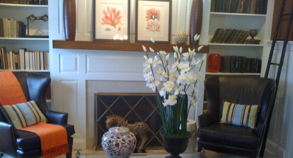 Susan Newcomber Project