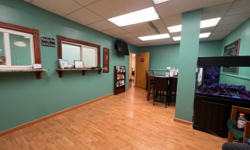 Lobby & Waiting Area Painting