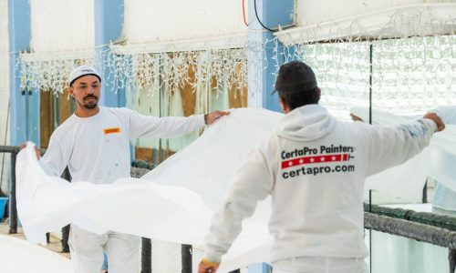 In Progress - Interior