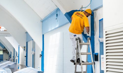 In Progress - Interior