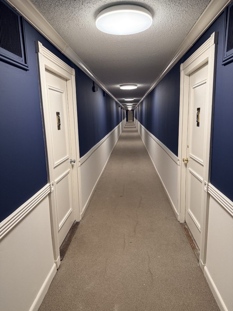 hallway painting with door trim Preview Image 2