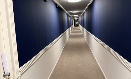 Hallway and Trim Painting