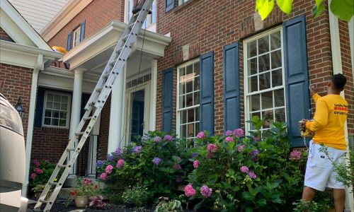 Shutters - In Progress