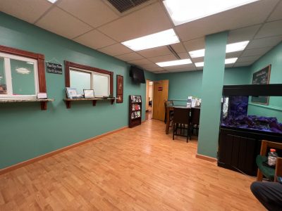 medical practice lobby and waiting area repainted