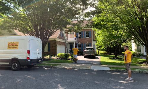 Shutters - In Progress