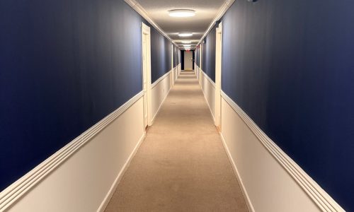 Hallway Painting