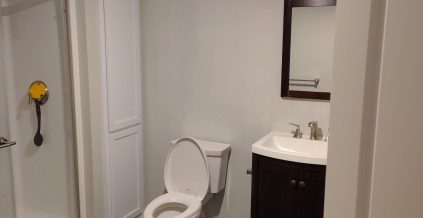Repainted Lakeville Bathroom