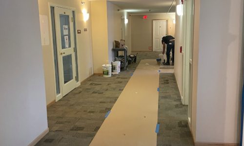 ACS - Painting in Progress