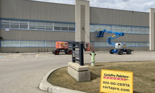 Painting in Progress