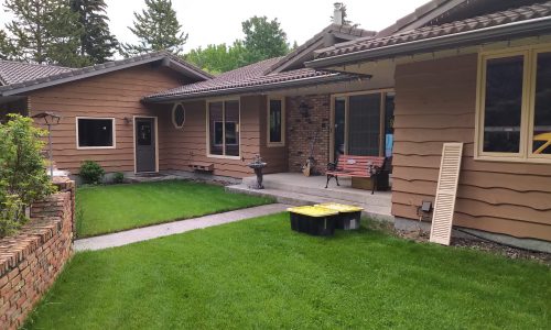 Professional Staining