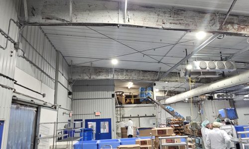 Before the Transformation