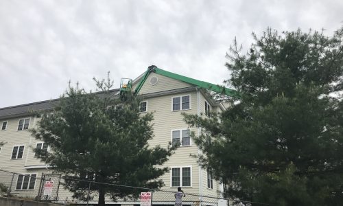 Commercial Exterior Apartment Painting in Wakefield, MA